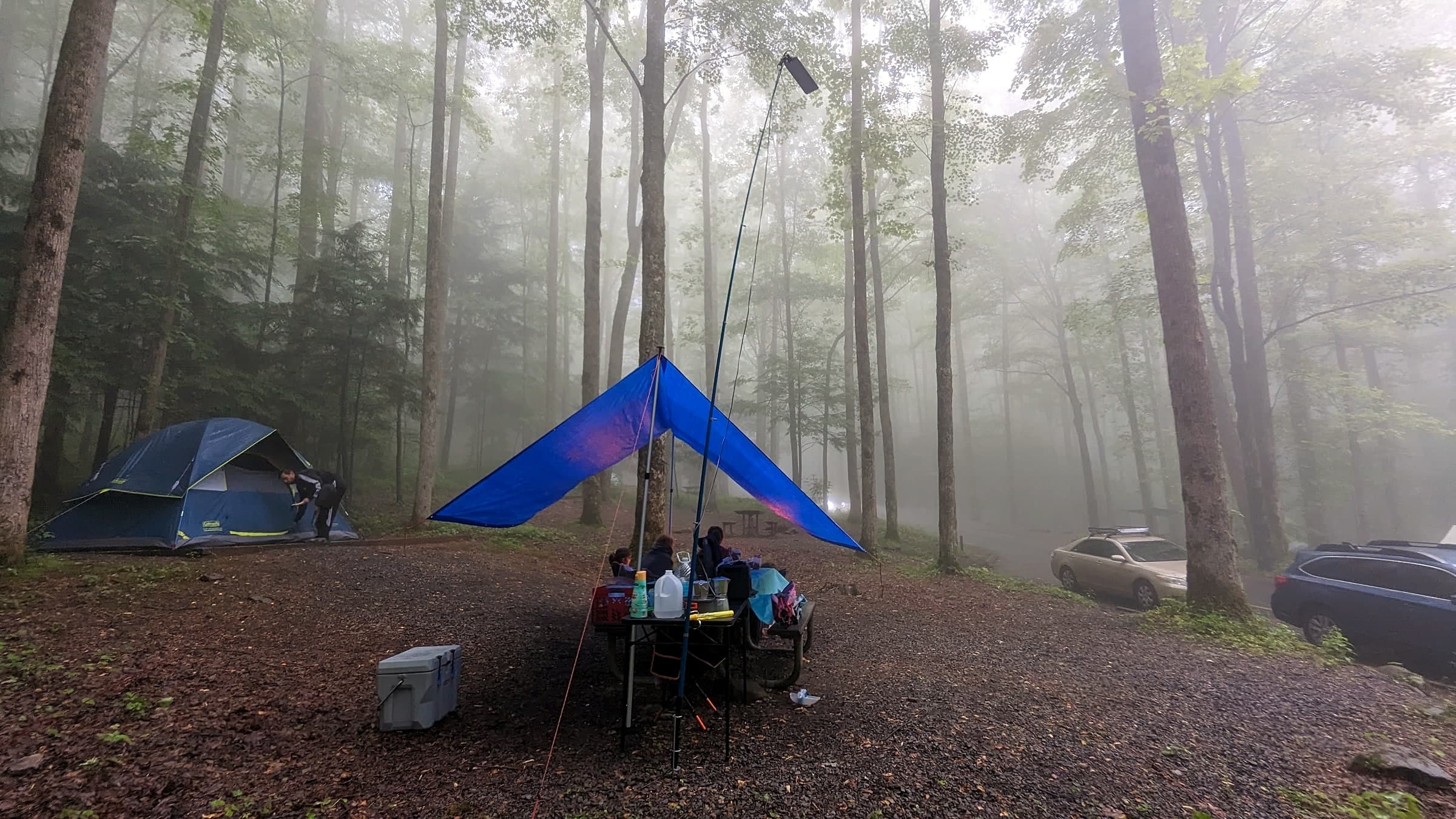 A blue tarp shelter set up over a picnic table in a dense, foggy forest campsite