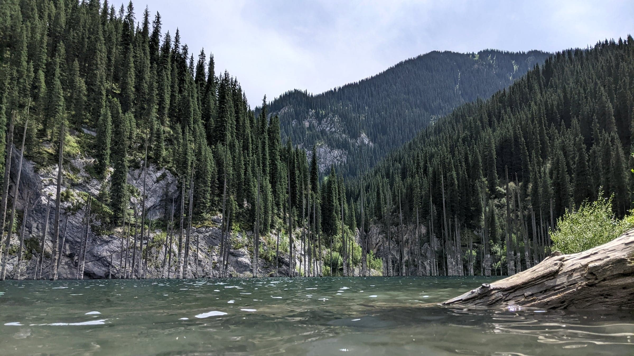 Rows of bare, dead pine trunks rising straight out of the turquoise water of Kaindy Lake, surrounded by forested mountains