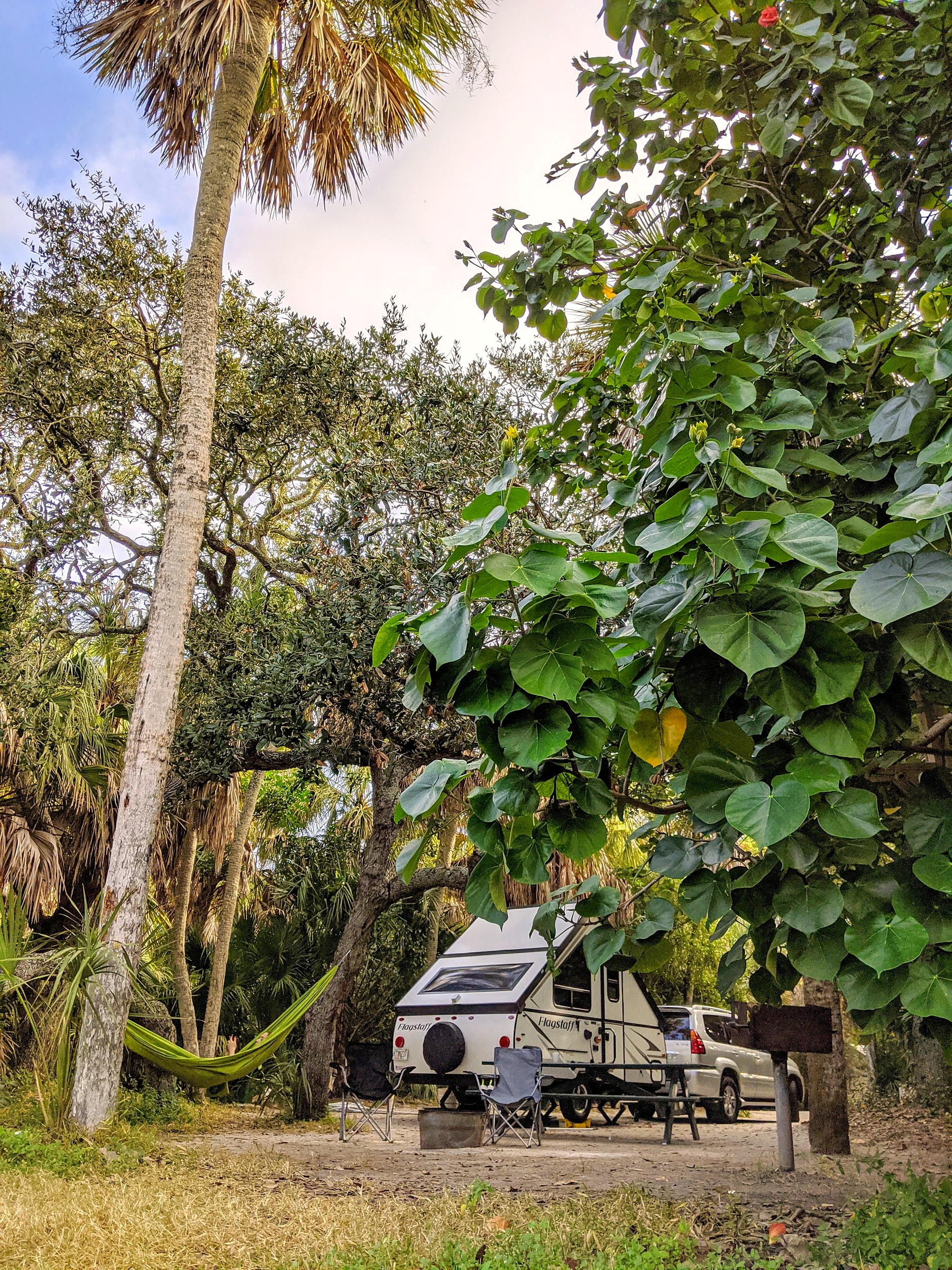 A Flagstaff pop-up trailer set up at a campsite under palm trees, with a hammock strung between two nearby trees